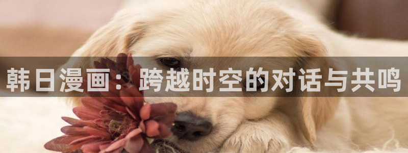 香蕉漫画在线观看免费