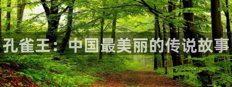 香蕉漫画免费网站入口