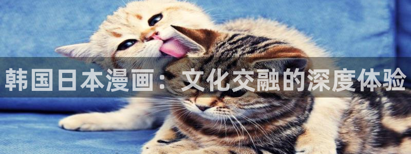 香蕉漫画韩漫：韩国日本漫画：文化交融的深度体验